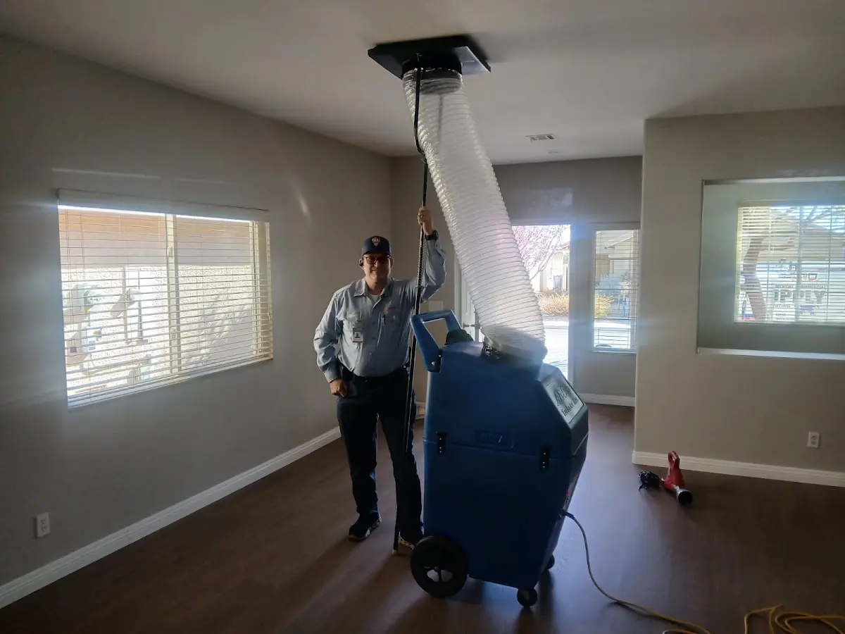 Professional Dryer Vent Cleaning work inside a Easttown home